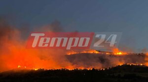 Μεγάλη φωτιά στη Ναύπακτο – Μήνυμα 112 για εκκένωση του Άνω Πλατανίτη