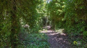 4+1 φαράγγια στον Δήμο Αρχανών- Αστερουσίων που σε καλούν για εξερεύνηση