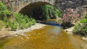 Ποταμοδιάσχιση του Αμαριανού ποταμού με τους "Δρόμους Ζωής"