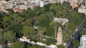 Εργασίες εκτίμησης ασφάλειας & επικινδυνότητας των δέντρων του Δημοτικού Κήπου