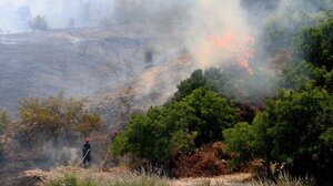 Μεγάλη φωτιά στη Χίο: Σε 12 περιοχές ήχησε το 112 - Έχει επεκταθεί σε τρία μέτωπα