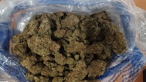 Τα ναρκωτικά τούς έβαλαν σε μεγάλους μπελάδες!