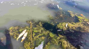 Καρτερός: Ό,τι σκοτώνει τα ψάρια δεν αποτελεί κίνδυνο για τον άνθρωπο!