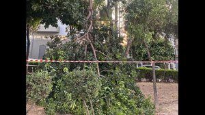 Έπεσε -ξανά- μεγάλο κλαδί δέντρου σε πάρκο του Ηρακλείου! - Δείτε βίντεο