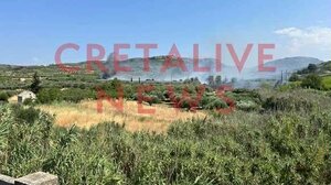 Ζημιές άφησε πίσω της η φωτιά κοντά στις Αγιές Παρασκιές