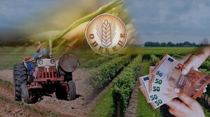 ΟΠΕΚΕΠΕ: Σήμερα το πρώτο πόρισμα για τις παράνομες επιδοτήσεις με 500 ΑΦΜ που πήραν 20 εκ. ευρώ