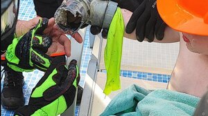 Μαγιόρκα: Σωλήνας ρούφηξε το χέρι 4χρονου σε πισίνα ξενοδοχείου