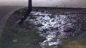 Άνοιξαν το νερό να ποτίσουν, άλλα τα νερά ξεχείλισαν