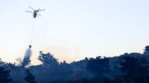 Μεγάλη φωτιά στον Ωρωπό - Επιχειρούν 19 εναέρια μέσα