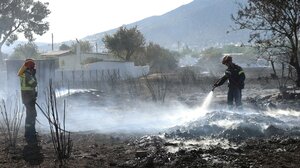 Φωτιά σε αγροτοδασική έκταση στην Καλαμάτα