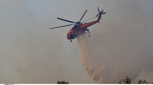 Μεγάλη φωτιά στην Αρχαία Ολυμπία - Στη μάχη με τις φλόγες 8 εναέρια μέσα