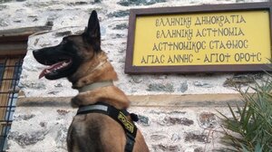 Βγαίνει στη σύνταξη ο Όσκαρ, ο πιο διάσημος σκύλος περιπολίας της ΕΛΑΣ