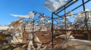 Χανιά: Εκτεταμένες ζημιές σε θερμοκήπια λόγω των θυελλωδών ανέμων