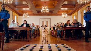 Ταινίες Πρώτης Προβολής: Ο Μπραντ Πιτ στο βολάν κι ένας σκύλος στο εδώλιο του κατηγορούμενου