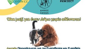 Δωρεάν στειρώσεις και ηλεκτρονική σήμανση για ζώα συντροφιάς στα Χανιά