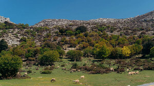 Όλα έτοιμα για την 5η Γιορτή Γεωπάρκου Ψηλορείτη