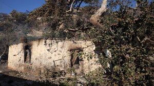 Πυρκαγιά στην Ιεράπετρα: Δωμάτια, είδη πρώτης ανάγκης και κάθε δυνατή βοήθεια σε όσους δοκιμάζονται