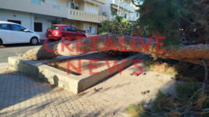 Τους έσωσε ο καύσωνας - Δέντρο έπεσε σε πολυσύχναστη παιδική χαρά του Ηρακλείου
