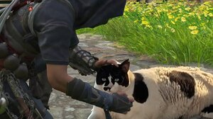 H viral γάτα από τα Χανιά, τώρα και στο Assassin's Creed!