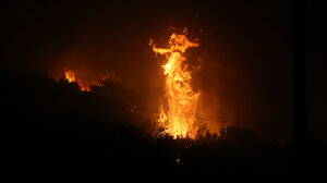 Κτηνιατρική κλινική στην Ιεράπετρα στο πλευρό των πυρόπληκτων ζώων