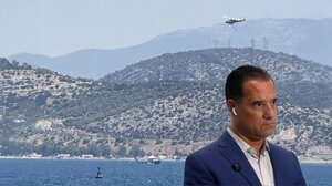 Άδωνις Γεωργιάδης για τους 3 πιλότους ελικοπτέρου: «Όλοι καλά στην υγεία τους, κάνουν προληπτικές εξετάσεις»