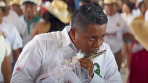 Δήμαρχος σε πόλη του Μεξικού παντρεύτηκε θηλυκό αλιγάτορα - Τι συμβολίζει η παράδοση 230 ετών