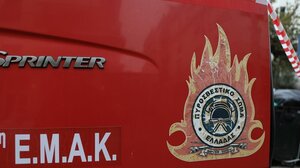 Έπεσε μέσα σε δεξαμενή νερού 