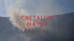 Πρόλαβαν κι "έπιασαν" τη φωτιά στην Τύλισσο (φωτογραφίες)