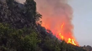 Μεγάλη πυρκαγιά στην Αλβανία - Συνδράμει με δύο πυροσβεστικά αεροσκάφη η Ελλάδα