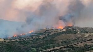 Φωτιά στην Εύβοια: Βελτιωμένη εικόνα σε Τσακαίους, Κάρυστο, Μεσοχώρια και Λιμνιώνα
