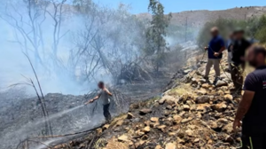 Επί ποδός για τη φωτιά στην Πόμπια η Πυροσβεστική - Βίντεο