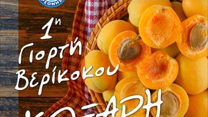 Αύριο η 1η Γιορτή Βερίκοκου στην Κόξαρη