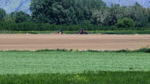 ΟΠΕΚΕΠΕ: Κατασχέσεις εξπρές από τον Αύγουστο για τους «κόκκινους» ΑΦΜ