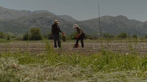 Metaxa Hospitality Group: Προς ένα αναγεννητικό μέλλον (video)