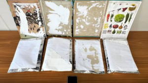 Είχε κρύψει σε εξώφυλλα παιδικών βιβλίων πάνω από 2,7 κιλά κοκαΐνης - Βίντεο