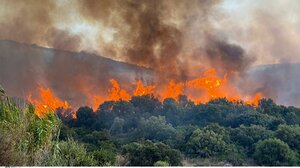 Τραγωδία στην Τουρκία: Δέκα δασεργάτες και εθελοντές πυροσβέστες σκοτώθηκαν σε πυρκαγιά στο Εσκίσεχιρ!