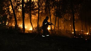 Πυροσβεστική: 42 αγροτοδασικές πυρκαγιές το τελευταίο 24ωρο σε όλη τη χώρα