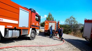Πυροσβεστική: 42 αγροτοδασικές πυρκαγιές το τελευταίο 24ωρο σε όλη τη χώρα