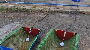 Εθελοντές ενώνουν δυνάμεις για την προστασία της άγριας πανίδας ενόψει καύσωνα