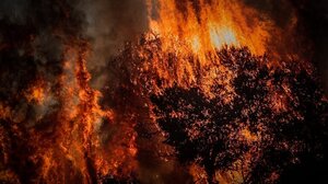 Στο "κόκκινο" και αύριο η Κρήτη - Πολύ υψηλός κίνδυνος εκδήλωσης πυρκαγιάς