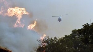 "Ανεξέλεγκτη φωτιά περικυκλώνει χωριά!" - Συναγερμός 112 για εκκενώσεις στη Φενεό Κορινθίας