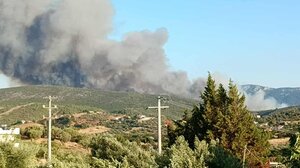  Ωρωπός: «Κάηκε μεγάλο μέρος του δάσους», λέει ο δήμαρχος 