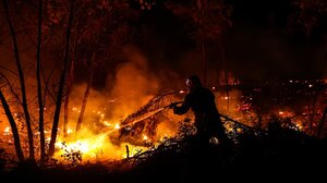 Οριοθετήθηκε η φωτιά στο Βασιλίτσι Μεσσηνίας