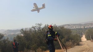 Πυροσβεστική: 47 αγροτοδασικές πυρκαγιές το τελευταίο 24ωρο σε όλη την Ελλάδα