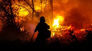 Πυρκαγιά στον Ωρωπό: Χειροπέδες σε ηλικιωμένο μελισσοκόμο για εμπρησμό από αμέλεια