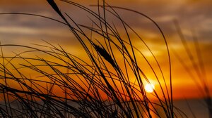 Ενισχυμένοι βοριάδες την Κυριακή στην Κρήτη - Αυξημένος κίνδυνος πυρκαγιάς σε όλo σχεδόν το νησί