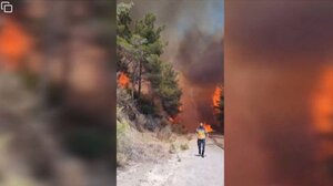 Συρία: Μάχη με τις δασικές πυρκαγιές για τρίτη μέρα - Εναέρια βοήθεια από την Τουρκία