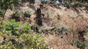 Μετά τη μεγάλη φωτιά, ξανά καθαρισμός στα ξερά χόρτα στα Ενετικά Τείχη