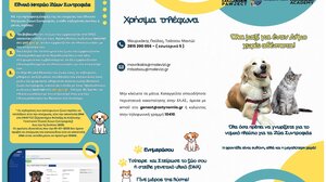 Ξεκινά η τριήμερη δράση δωρεάν στειρώσεων από τον Δήμο Μαλεβιζίου 