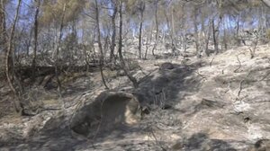 Σύλληψη ενός ατόμου για τη φωτιά στη Βουρβουρού Χαλκιδικής